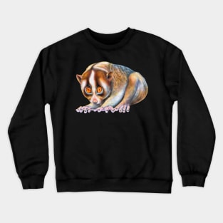 Slow Loris Crewneck Sweatshirt